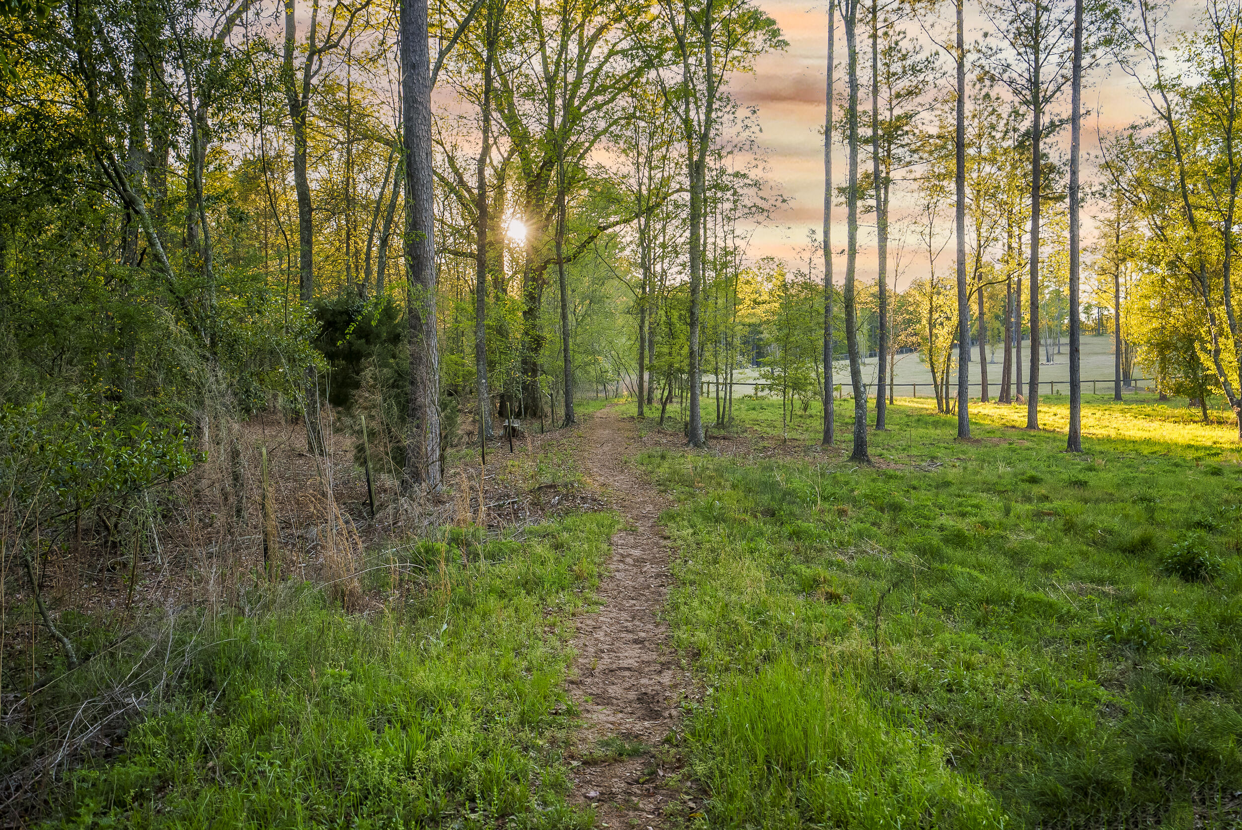 0 Implement Road Aiken, SC 29803 - Photo 5 of 38 a view of a park with a tree