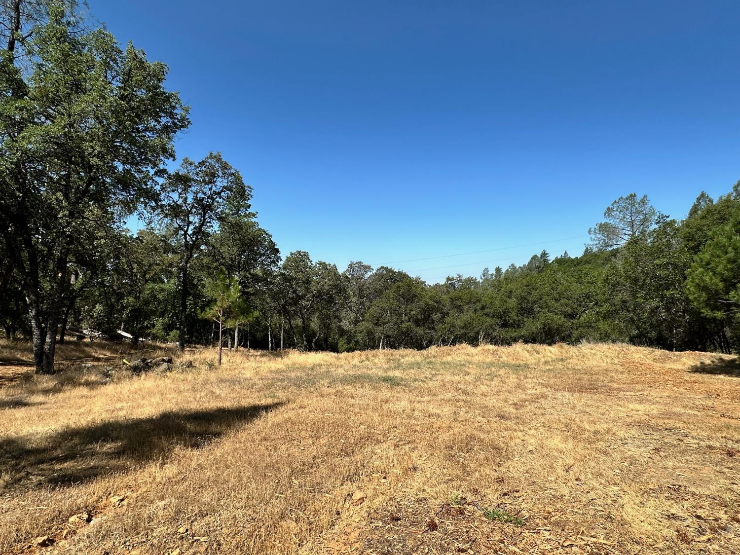 388 East Summit View Meadow Vista, CA 95722 - Photo 11 of 25