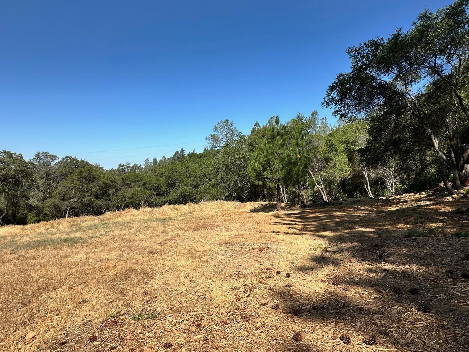 388 East Summit View Meadow Vista, CA 95722 - Photo 12 of 25