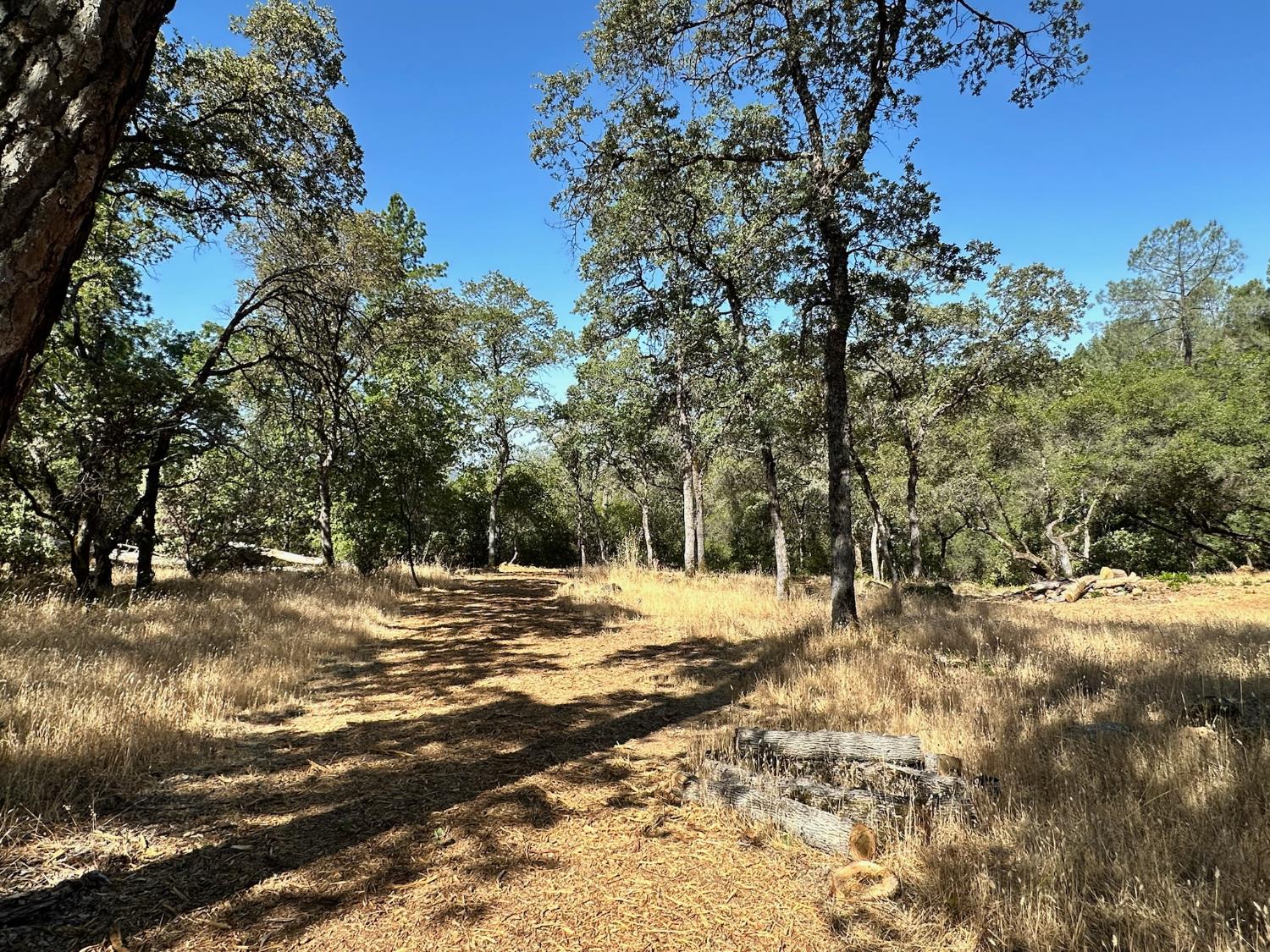 388 East Summit View Meadow Vista, CA 95722 - Photo 13 of 25