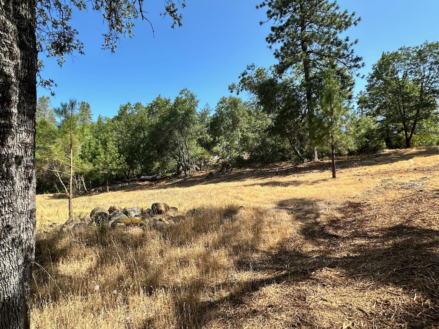 388 East Summit View Meadow Vista, CA 95722 - Photo 15 of 25