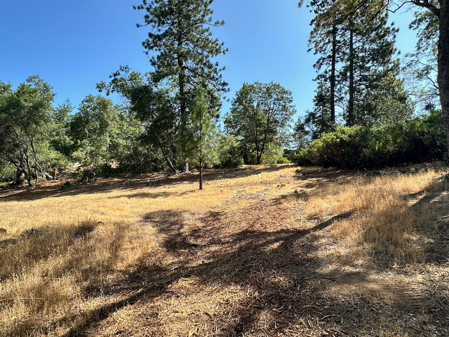 388 East Summit View Meadow Vista, CA 95722 - Photo 16 of 25