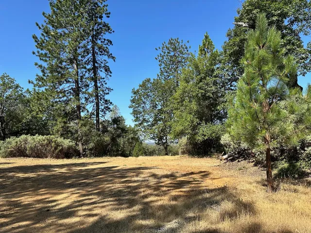 $575,000 | 388 East Summit View, Meadow Vista, CA 95722