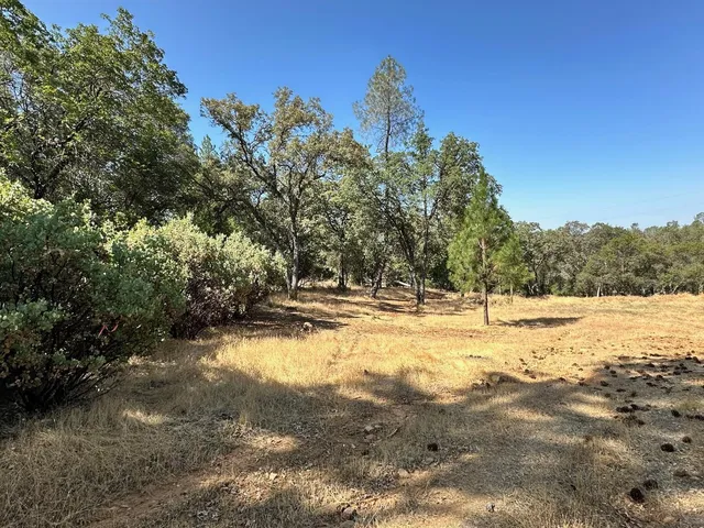 $575,000 | 388 East Summit View, Meadow Vista, CA 95722