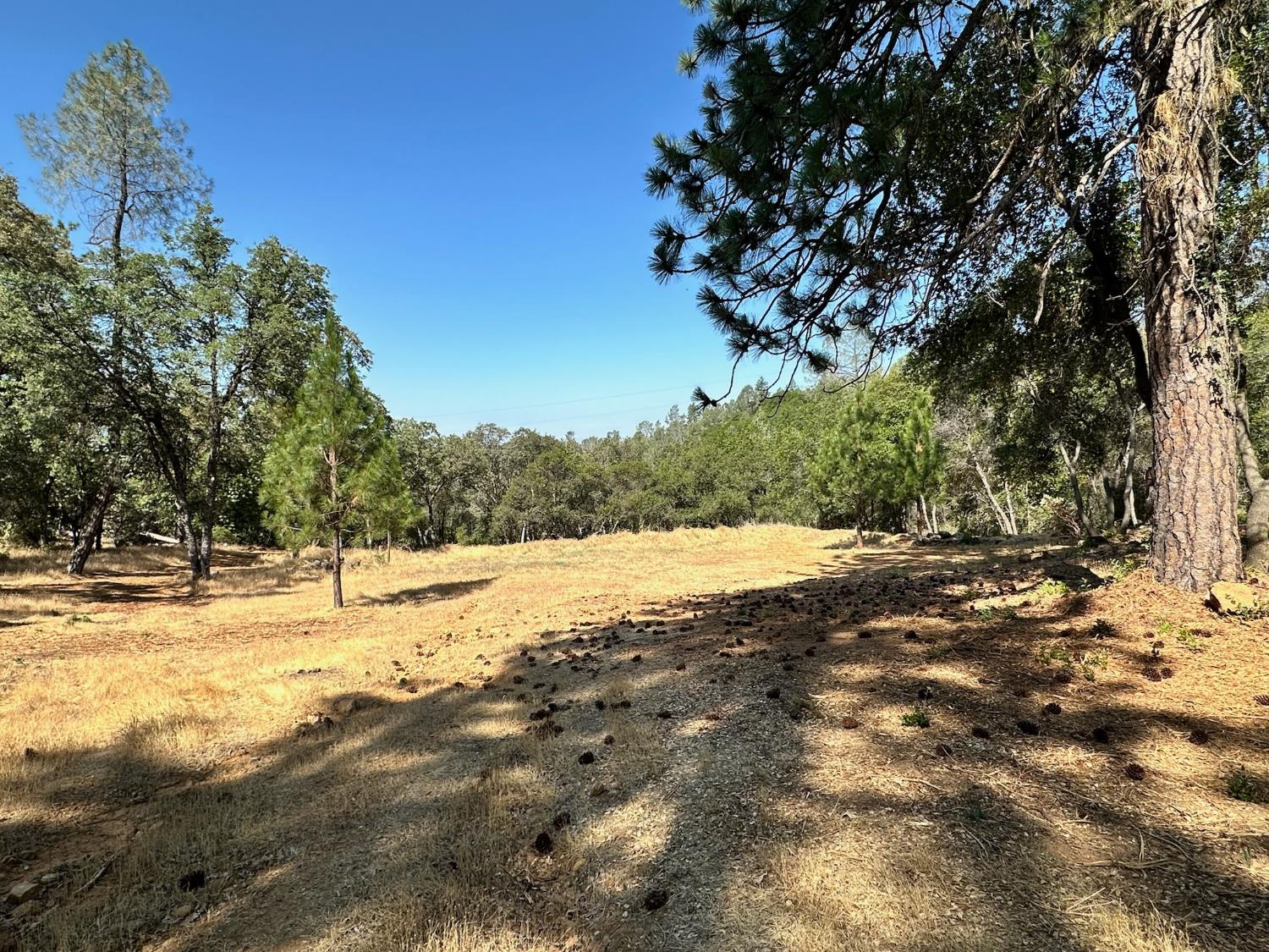 388 East Summit View Meadow Vista, CA 95722 - Photo 7 of 25