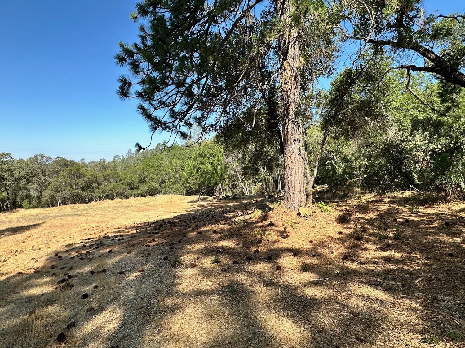 388 East Summit View Meadow Vista, CA 95722 - Photo 8 of 25