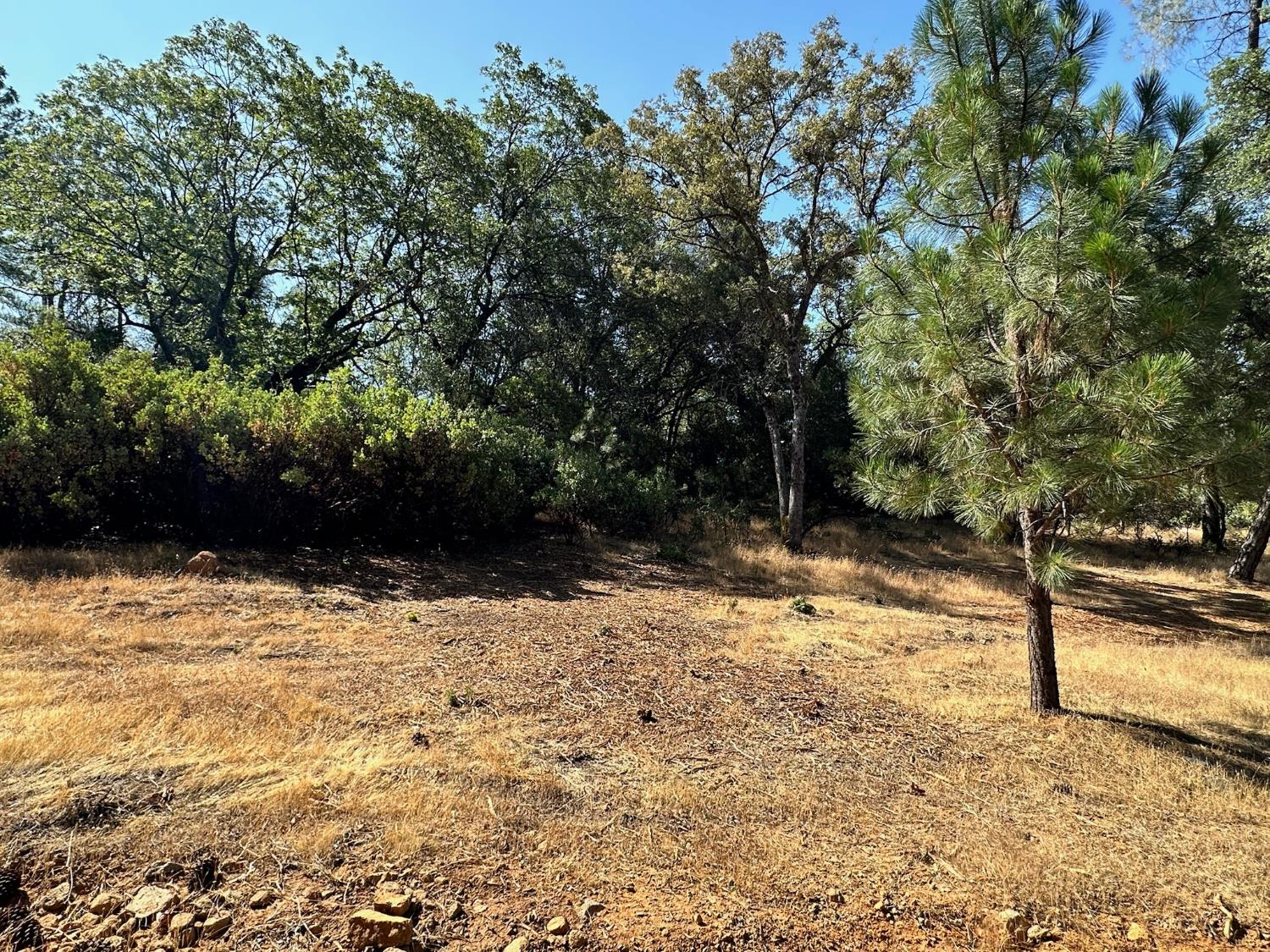 388 East Summit View Meadow Vista, CA 95722 - Photo 9 of 25