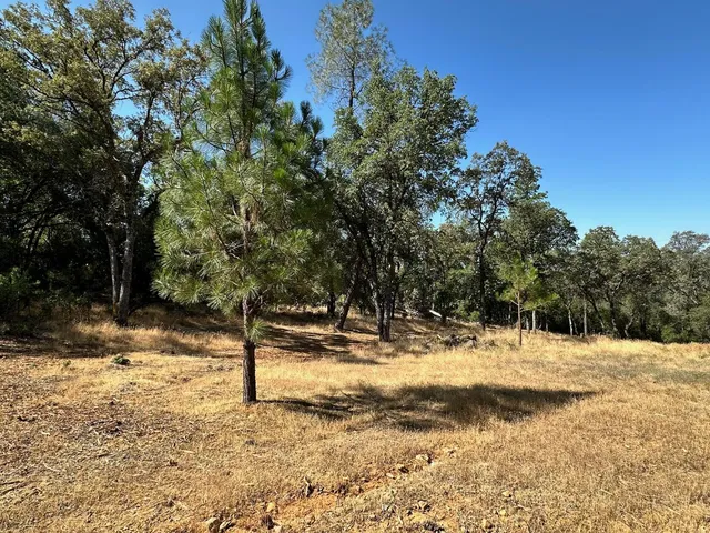 $575,000 | 388 East Summit View, Meadow Vista, CA 95722