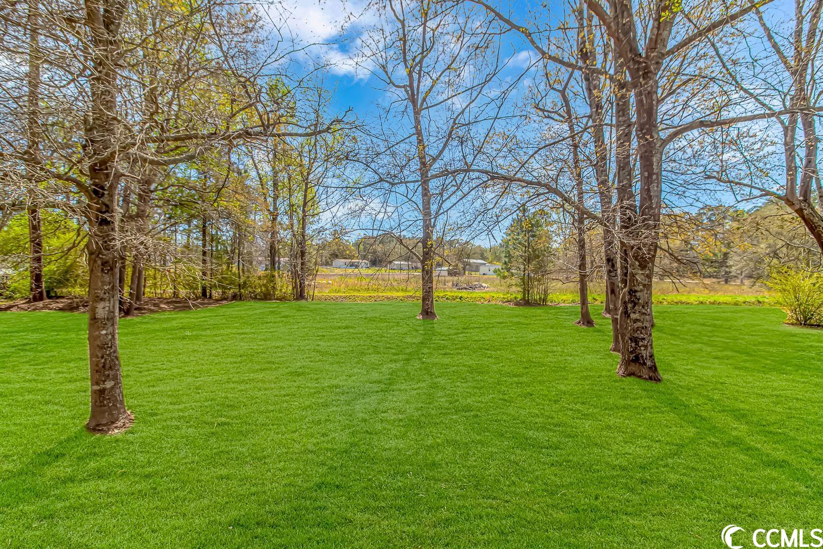 357 Edison Circle Conway, SC 29526 - Photo 31 of 36