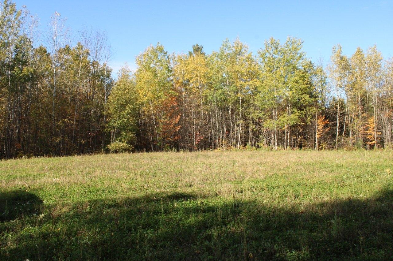 Off Warren Road Fifield, WI 54524 - Photo 19 of 28 Gallery Image 19