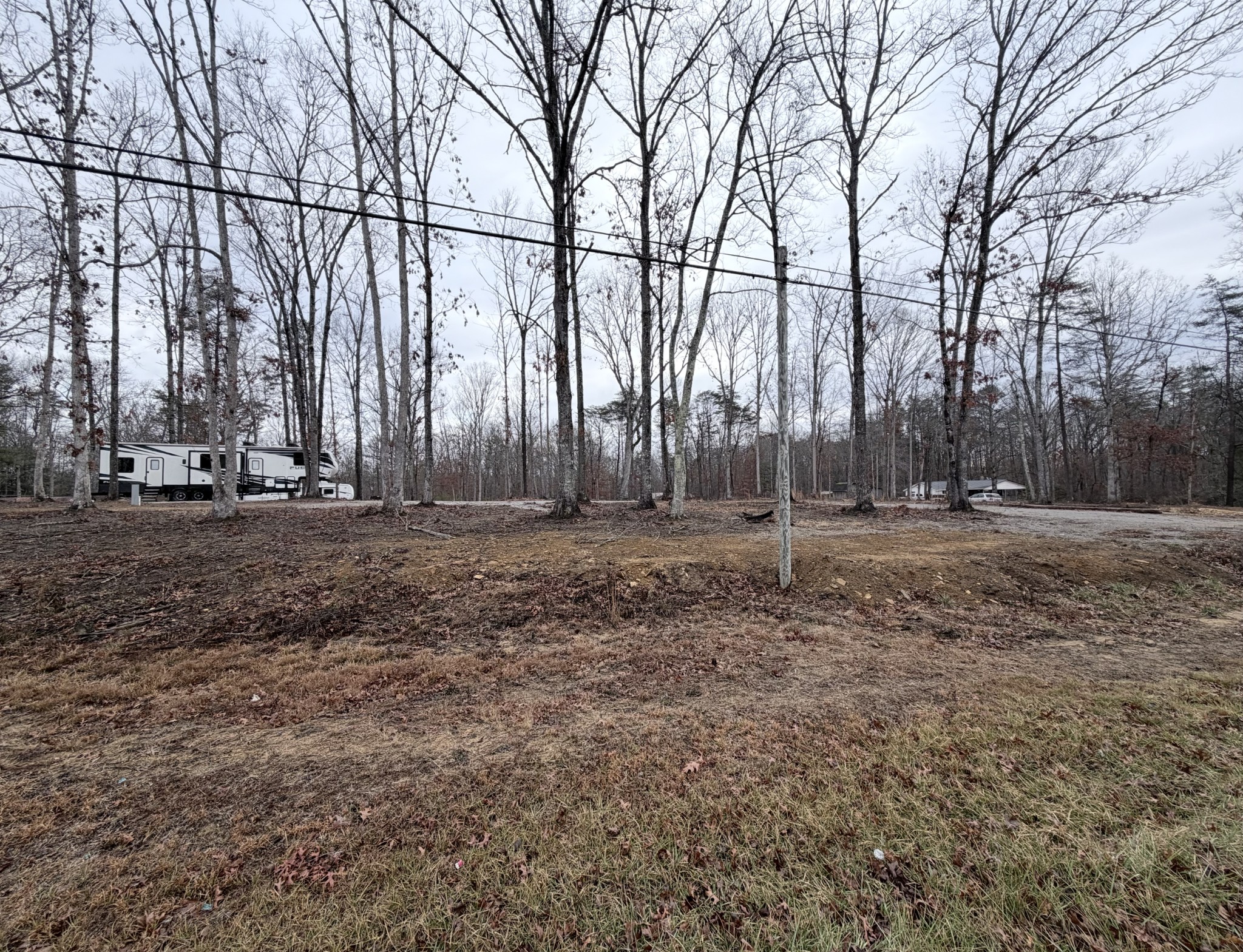 0 Main Street Altamont, TN 37301 - Photo 5 of 16 a backyard of apartments with large trees