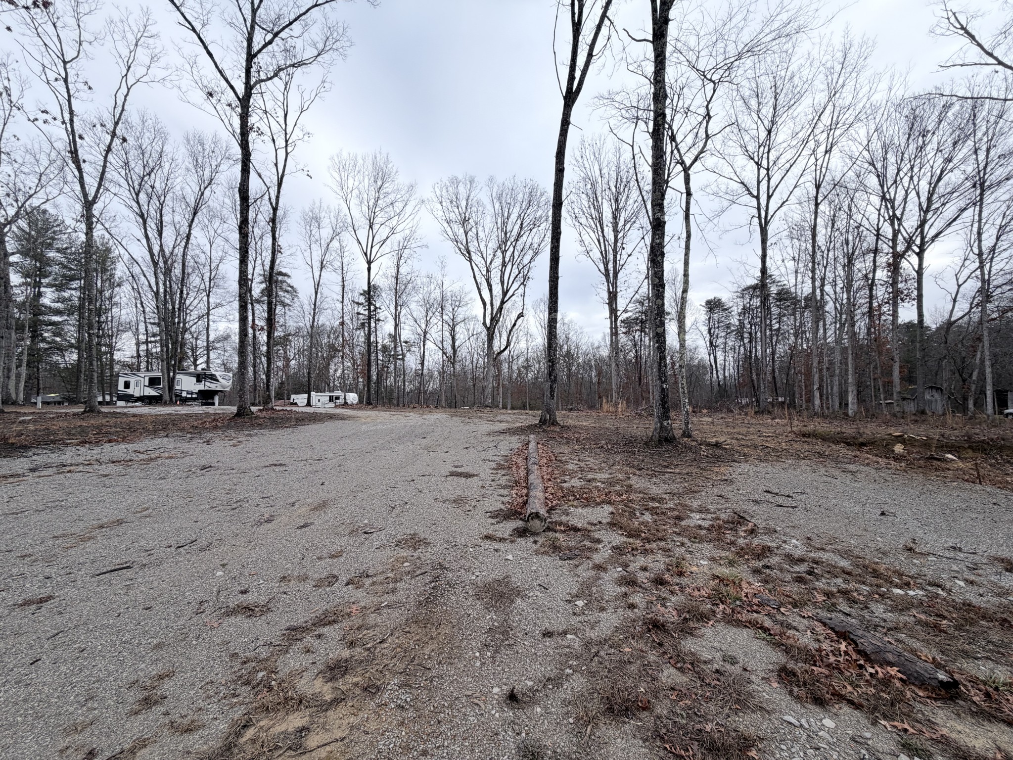 0 Main Street Altamont, TN 37301 - Photo 6 of 16 a view of outdoor space with trees