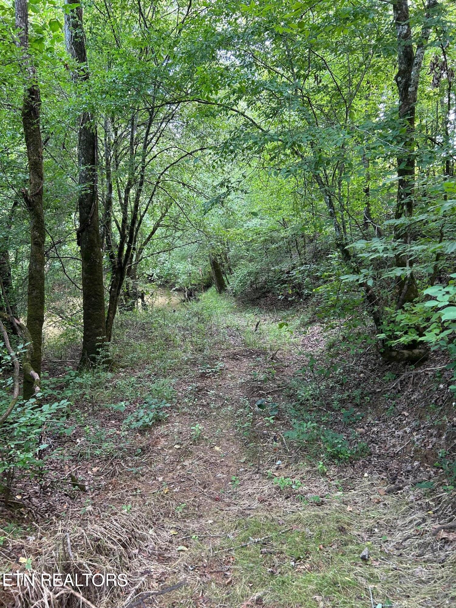 59.45-acre Athens Road Calhoun, TN 37309 - Photo 24 of 44 IMG_1627