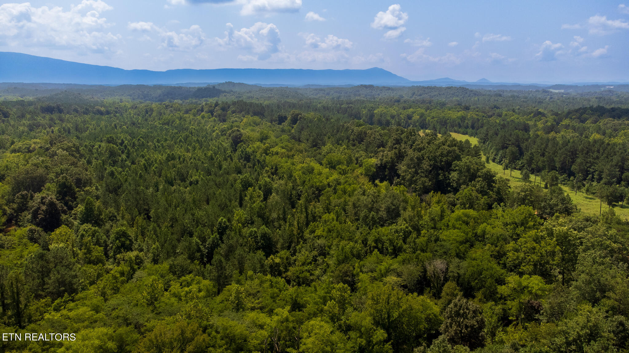 59.45-acre Athens Road Calhoun, TN 37309 - Photo 39 of 44 DJI_0902