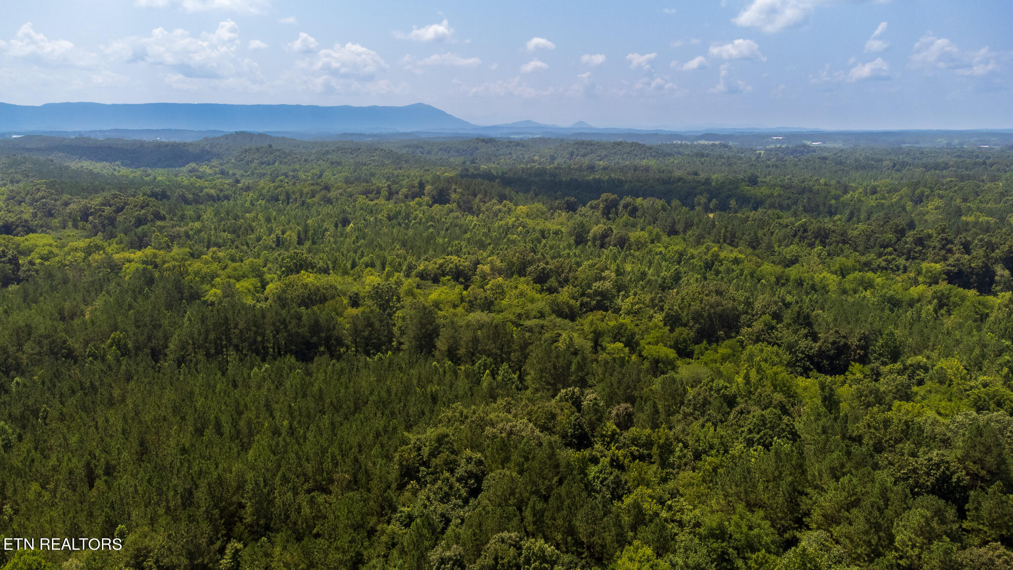 59.45-acre Athens Road Calhoun, TN 37309 - Photo 40 of 44 DJI_0906