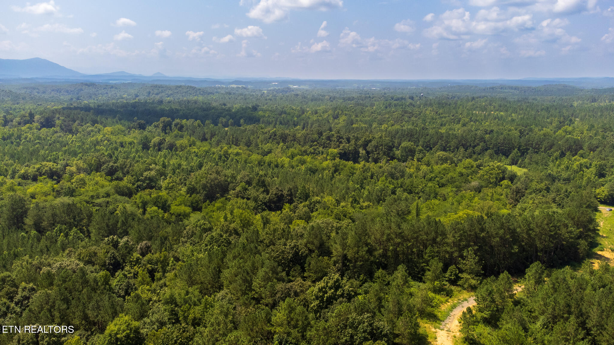 59.45-acre Athens Road Calhoun, TN 37309 - Photo 41 of 44 DJI_0905