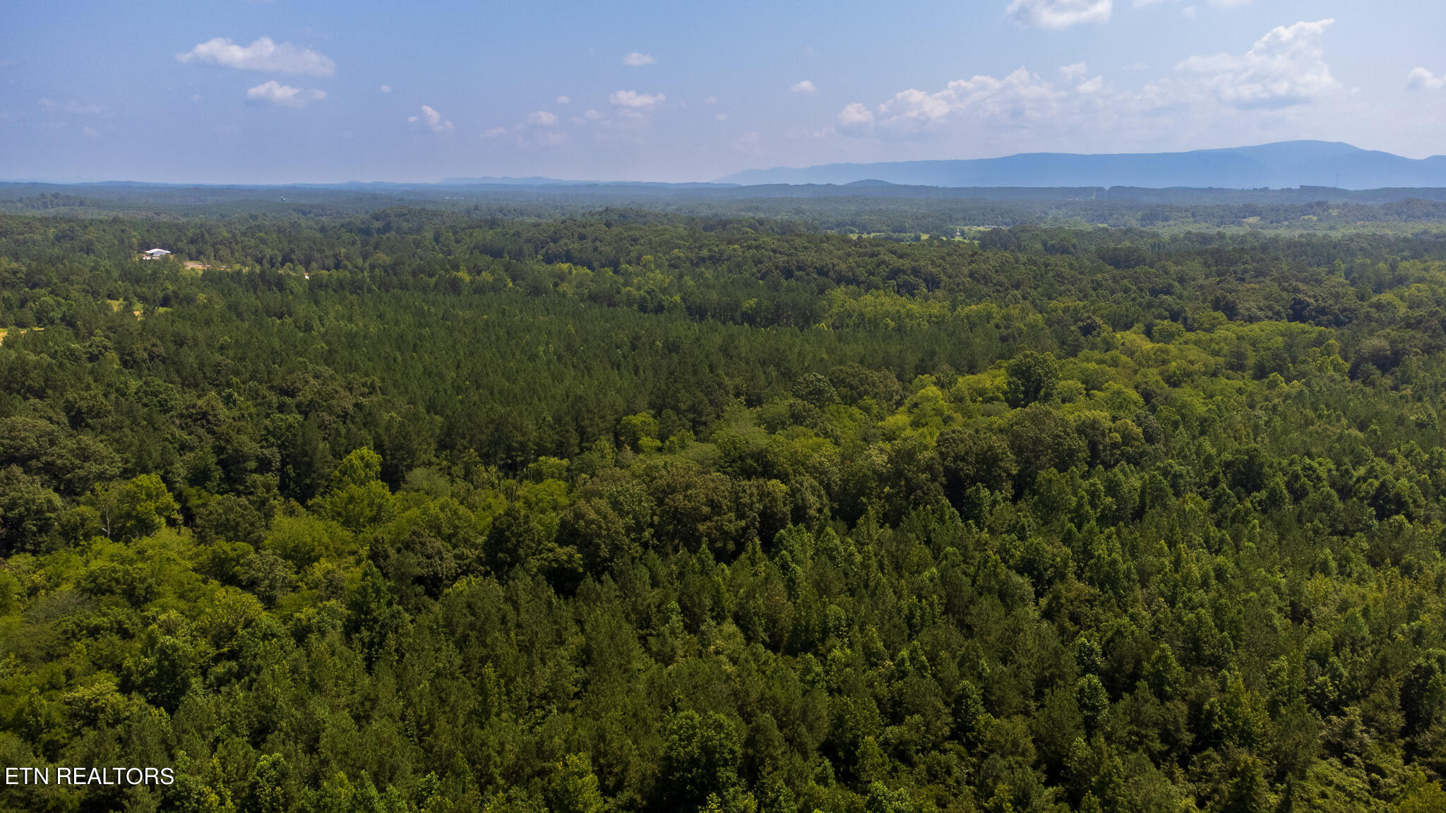 59.45-acre Athens Road Calhoun, TN 37309 - Photo 42 of 44 DJI_0904