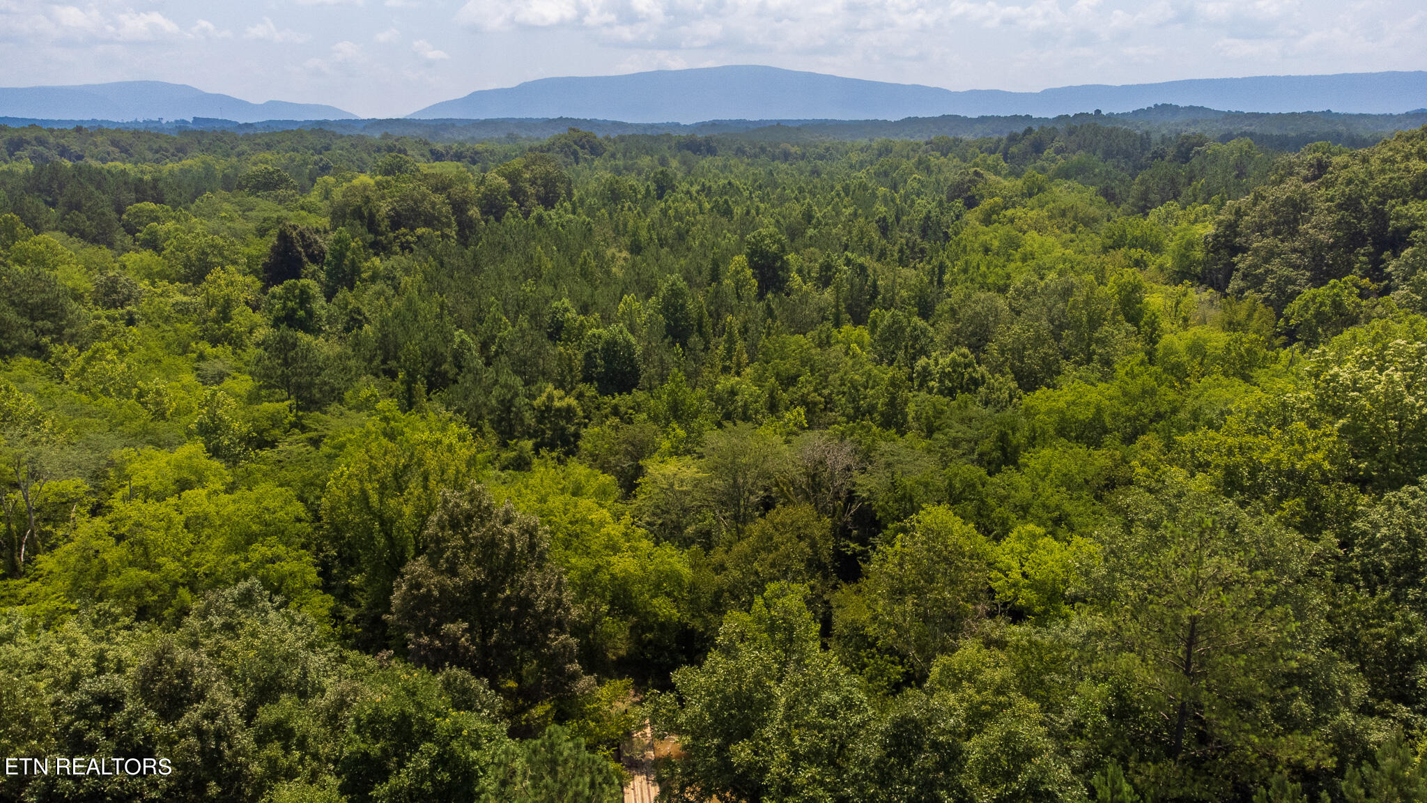 59.45-acre Athens Road Calhoun, TN 37309 - Photo 43 of 44 DJI_0908