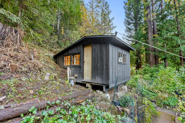 a view of a small house with a small yard plants and large tree