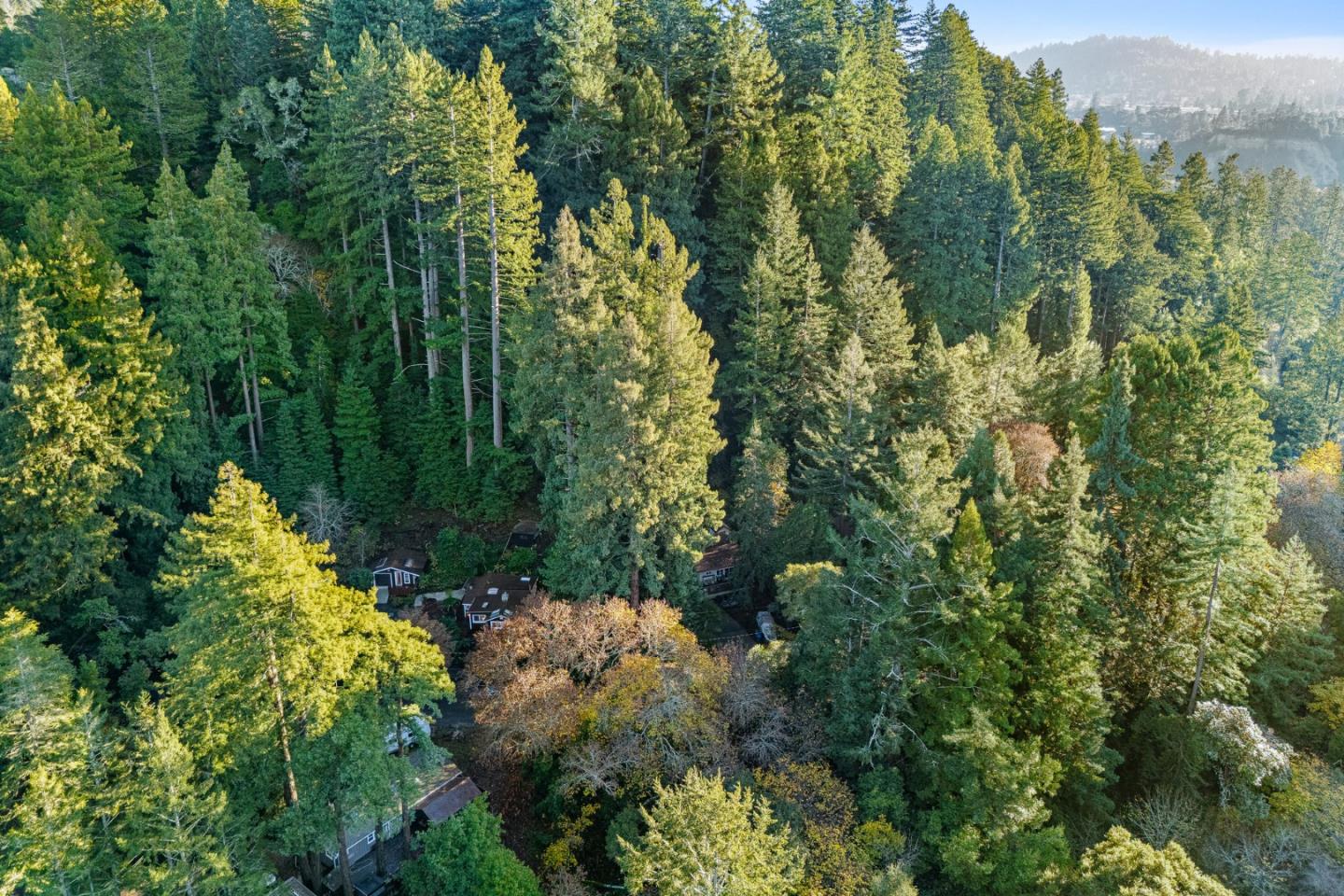 610 Nelson Road Scotts Valley, CA 95066 - Photo 39 of 41