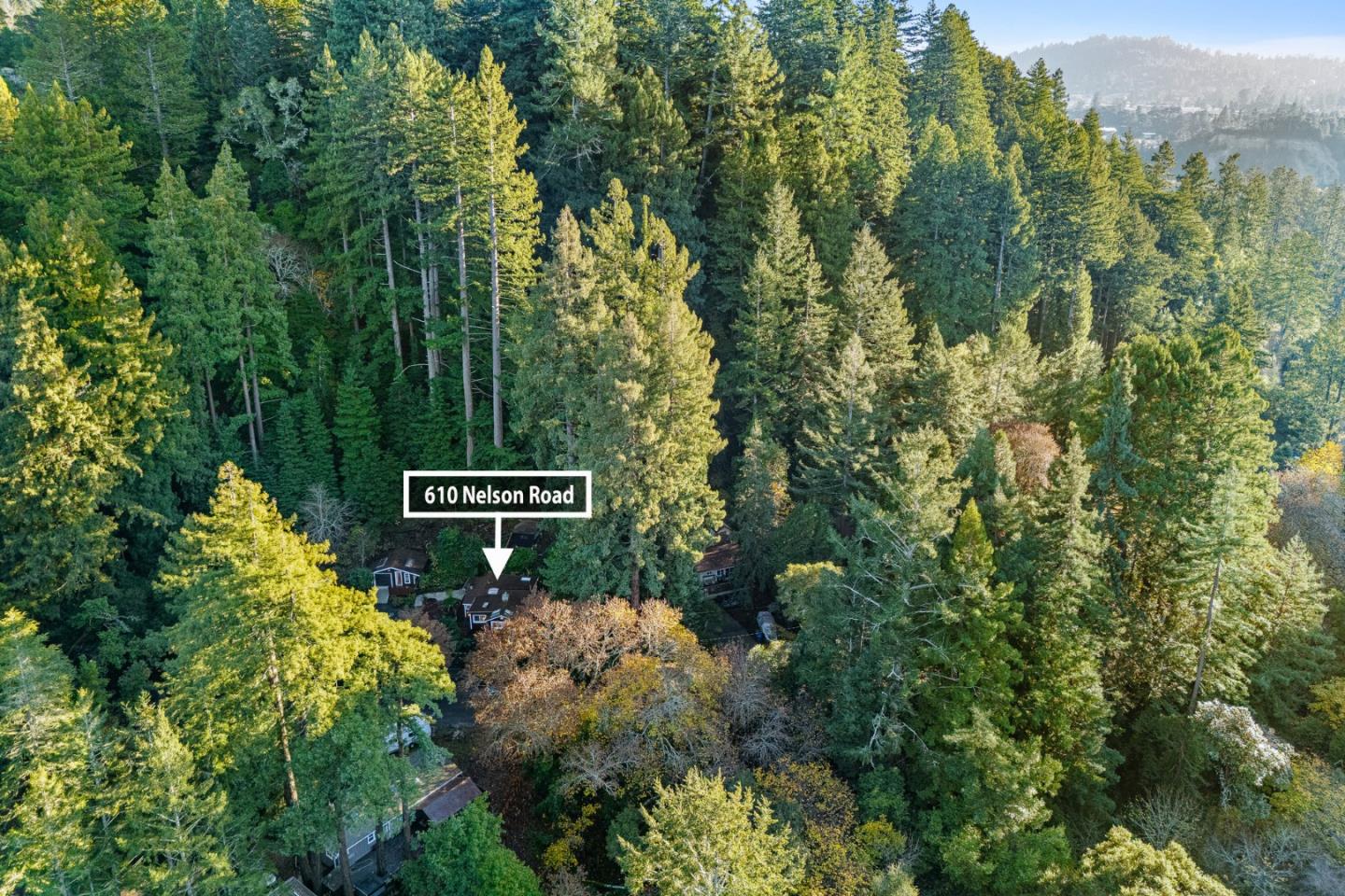 610 Nelson Road Scotts Valley, CA 95066 - Photo 40 of 41