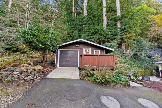 a view of a back yard with plants and large trees