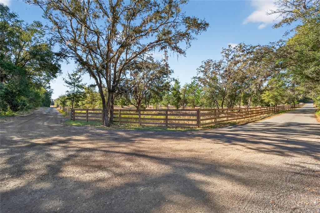 a view of a road with trees