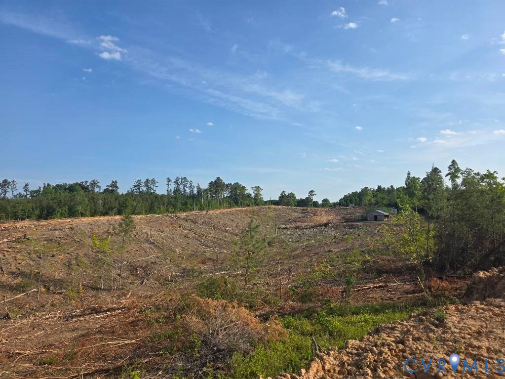 5367 Lunenburg County Road Keysville, VA 23947 - Photo 3 of 8