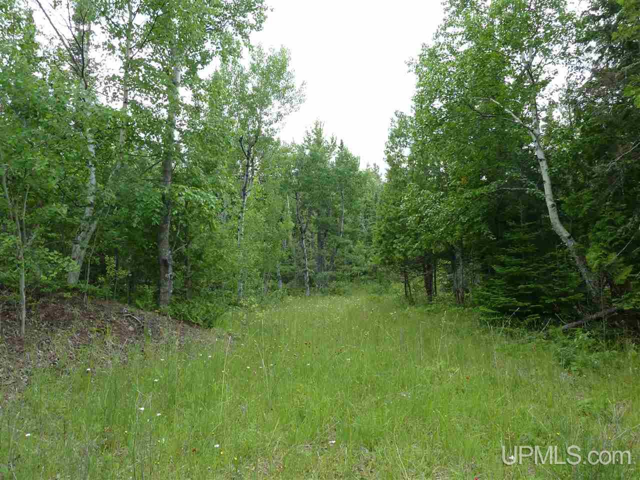 9419 Goodell Road Mohawk, MI 49950 - Photo 10 of 24