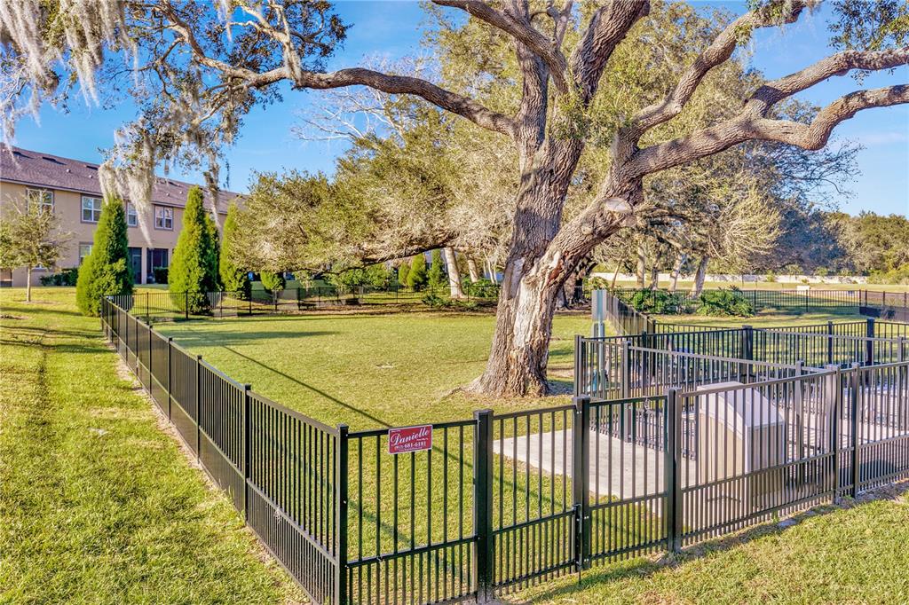 11716 Wrought Pine Loop Riverview, FL 33569 - Photo 53 of 53