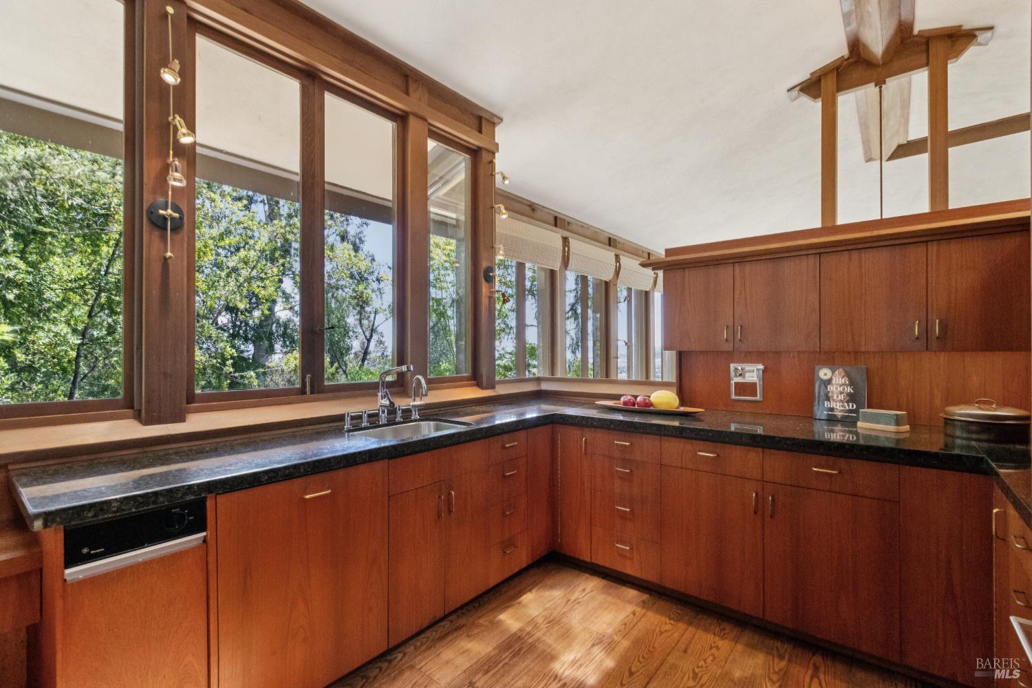 335 Highland Avenue San Rafael, CA 94901 - Photo 37 of 98