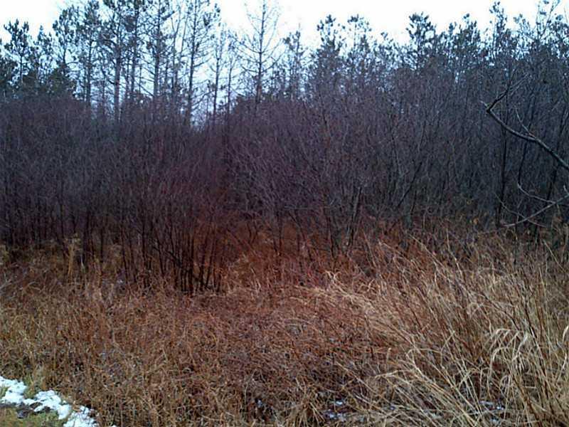 0 Ridge School Road Liberty, ME 04949 - Photo 2 of 3 Land.