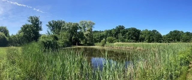 $729,000 | 336 King Street, Unit 105, Littleton, MA 01460