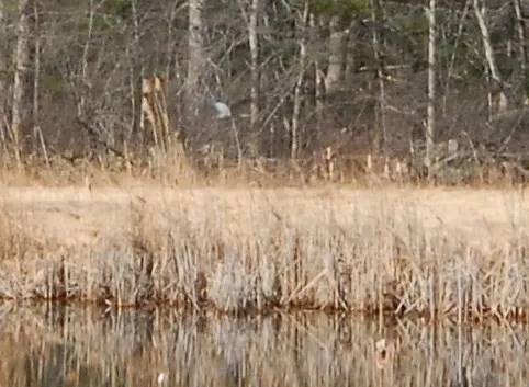 $729,000 | 336 King Street, Unit 105, Littleton, MA 01460