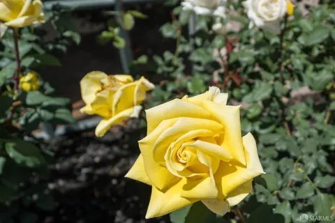 $829,000 | 355 Buena Vista Avenue East, Unit 605W, San Francisco, CA 94117