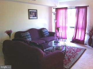 5758 Village Green Drive, Unit E Alexandria, VA 22309 - Photo 6 of 7 a living room with furniture and a window