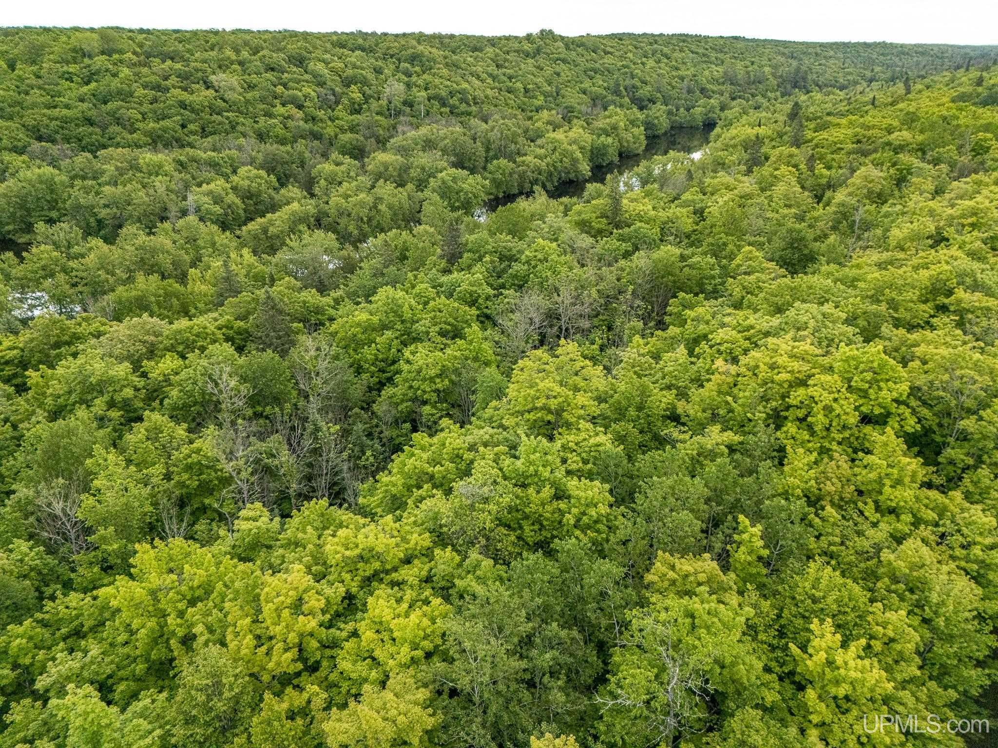 4 Grade Road Wakefield, MI 49968 - Photo 7 of 15
