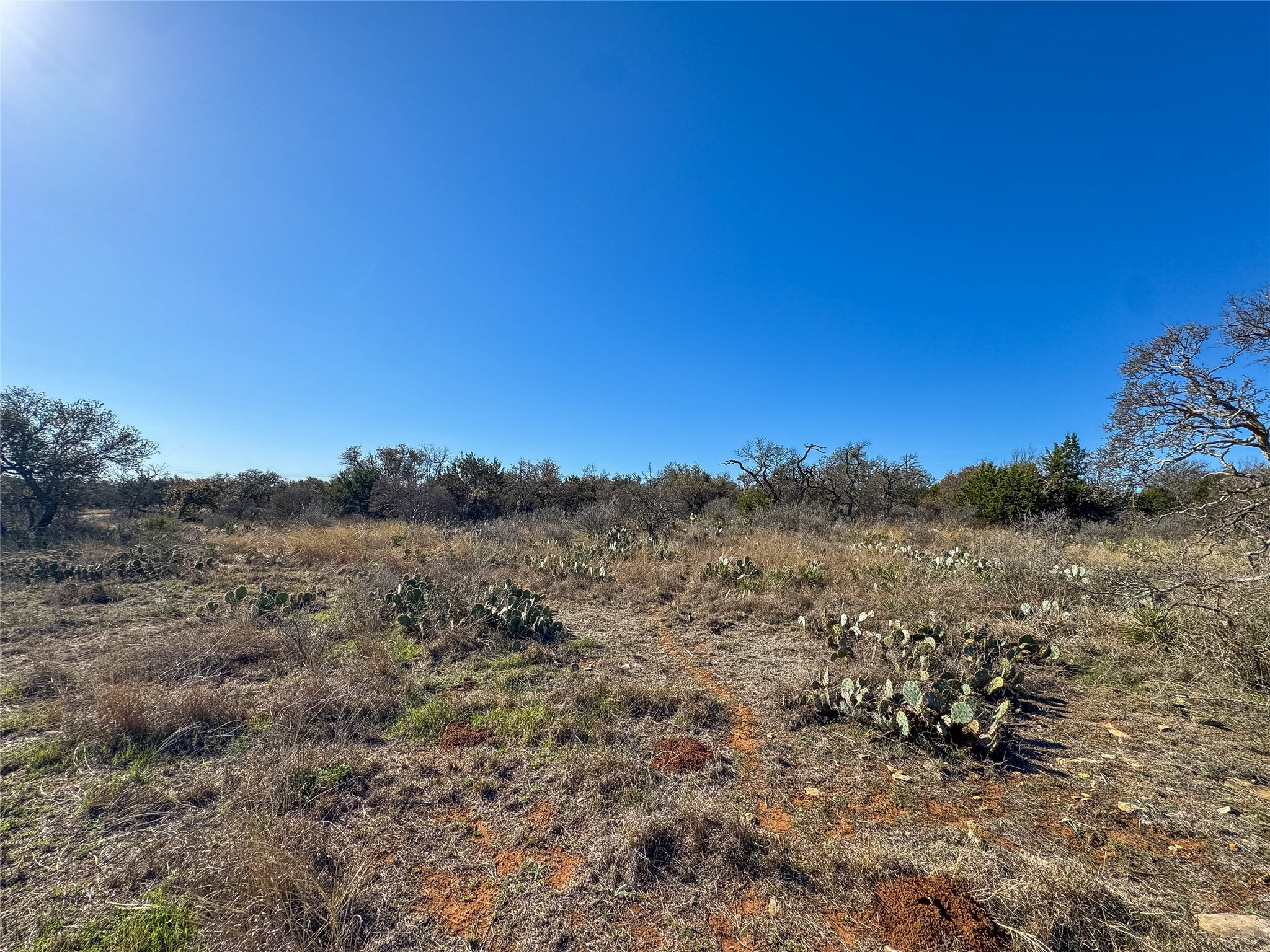 Lot 20 Comanche Ridge Round Mountain, TX 78663 - Photo 24 of 34 LOT 20 STREET LEVEL