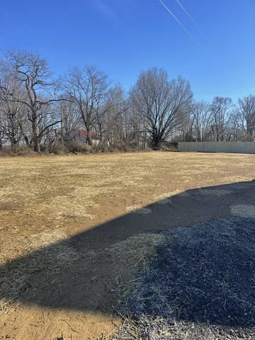 a view of backyard and tree
