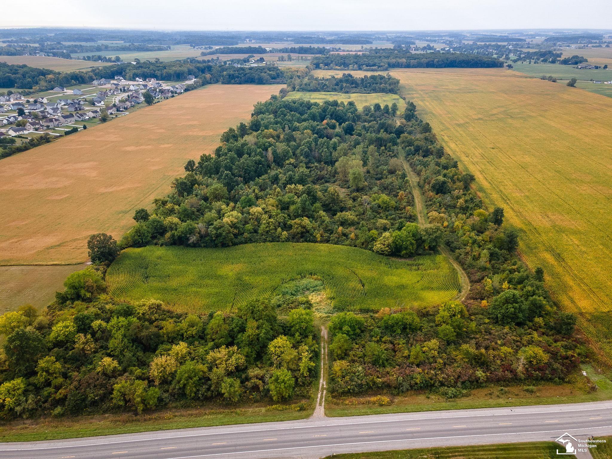 4555 South Custer Road Monroe, MI 48161 - Photo 2 of 18