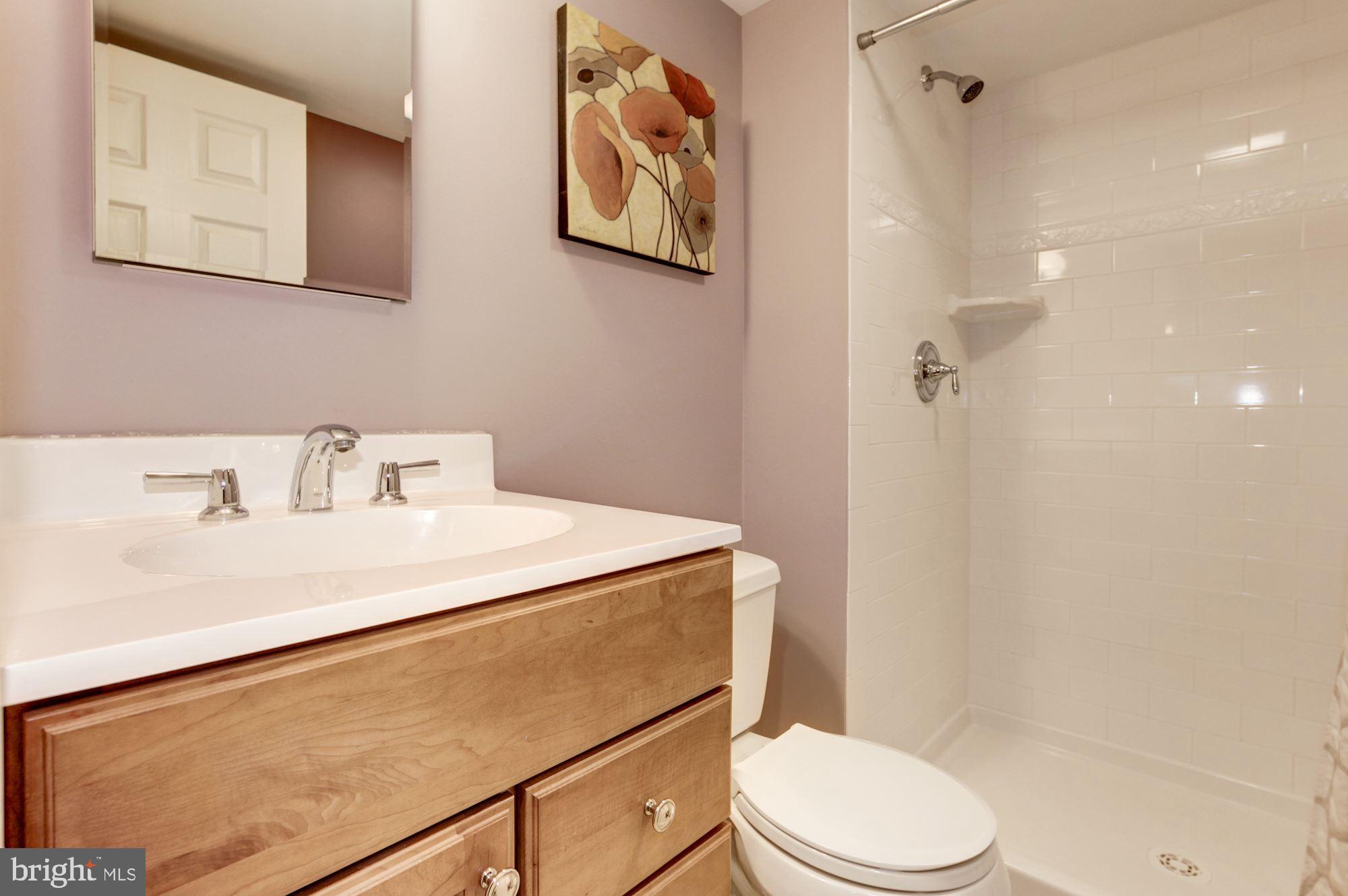 12413 St James Road Rockville, MD 20850 - Photo 28 of 35 Lower Level - Full Bath