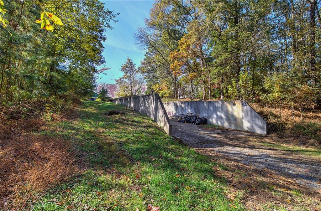 647 Knight Bottom Road Fairmount, GA 30139 - Photo 42 of 62 a view of a yard with plants and a large tree