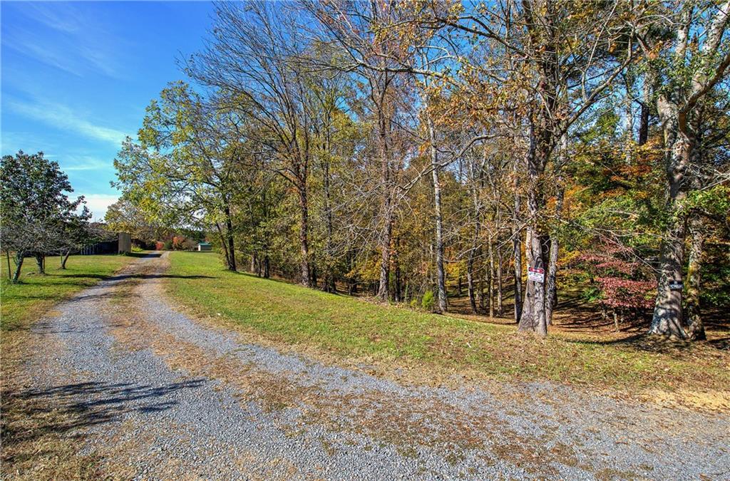 647 Knight Bottom Road Fairmount, GA 30139 - Photo 49 of 62 a view of a field with trees in the background