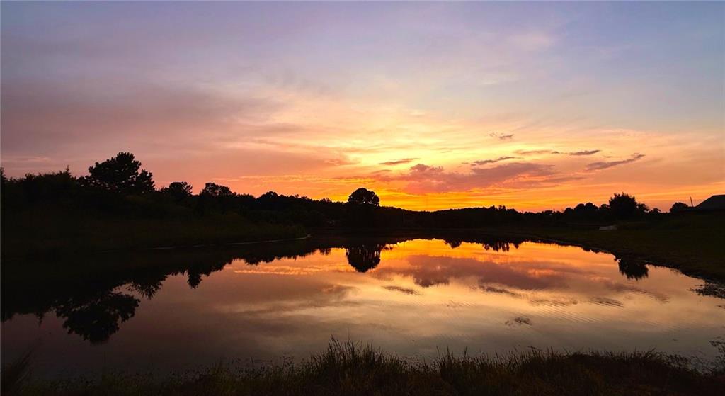 647 Knight Bottom Road Fairmount, GA 30139 - Photo 53 of 62