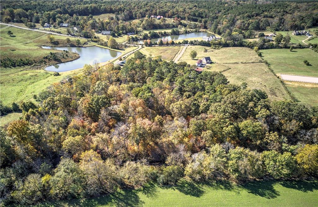 647 Knight Bottom Road Fairmount, GA 30139 - Photo 58 of 62 a view of a lake view