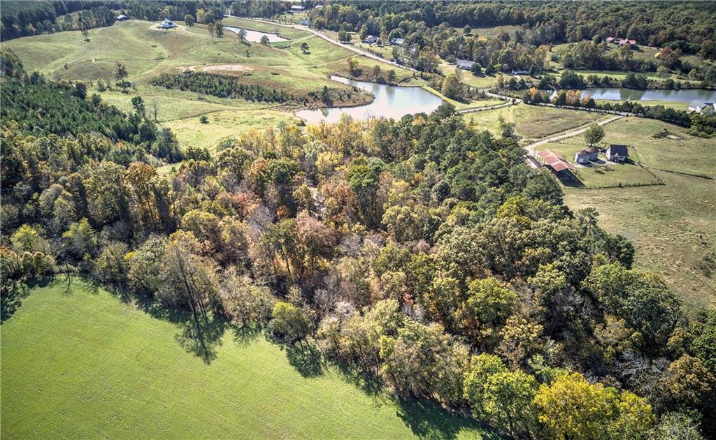 647 Knight Bottom Road Fairmount, GA 30139 - Photo 59 of 62 a view of a lake in middle of the town