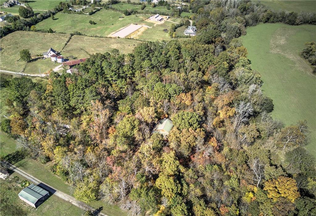 647 Knight Bottom Road Fairmount, GA 30139 - Photo 61 of 62