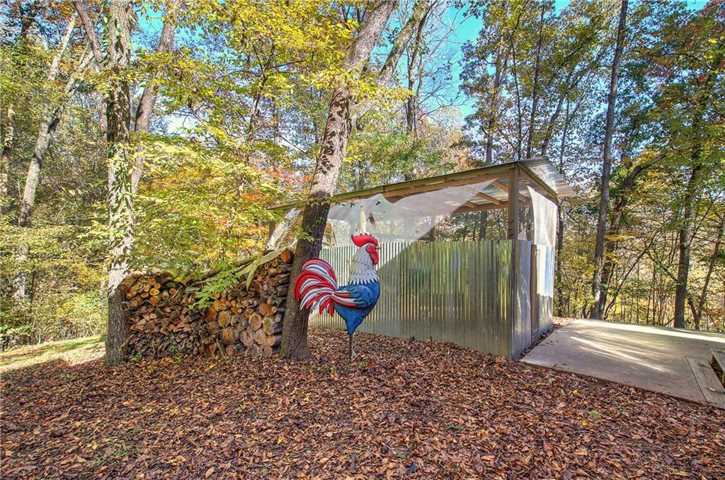 647 Knight Bottom Road Fairmount, GA 30139 - Photo 8 of 62 a backyard of a house with lots of green space