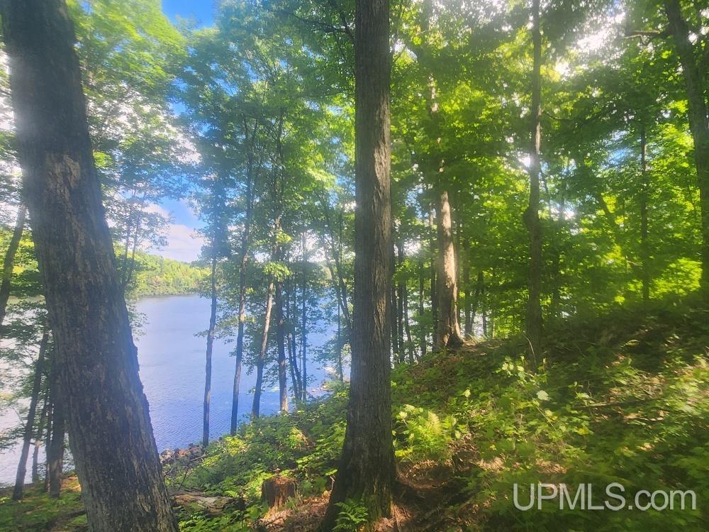 Tbd West Tamarack Lake Road, Unit LOT 5 Watersmeet, MI 49969 - Photo 25 of 66