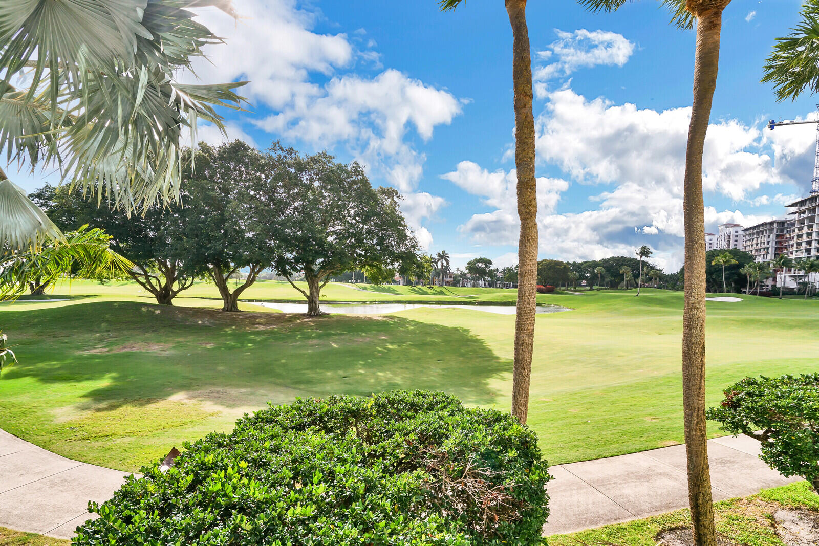 500 Southeast Mizner Boulevard, Unit A902 Boca Raton, FL 33432 - Photo 21 of 23 a view of a trees with a yard